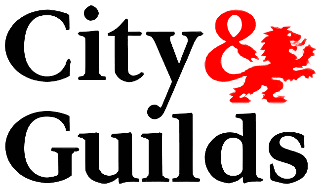City & Guilds qualified (inspection and testing, 18th Edition)